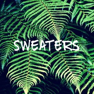Collection of Sweaters to Explore and Choose From!